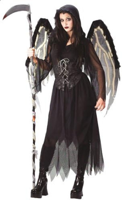 Angel of Death Gothic Grim Reaper Dark Dress Up Halloween Teen Adult Costume