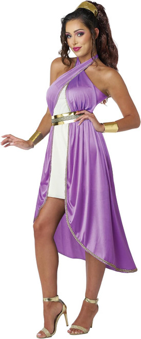 Grecian Princess Roman Greek Fancy Dress Up Halloween Adult Costume 2 COLORS Grecian Princess Roman Greek Fancy Dress Up Halloween Adult Costume 2 COLORS