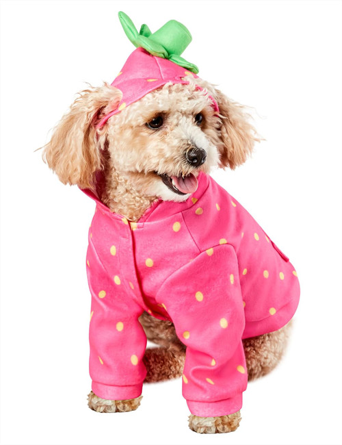 Strawberry Food Fruit Funny Fancy Dress Up Halloween Rubie's Pet Dog Cat Costume