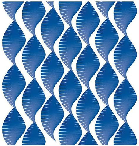 Solid Color Birthday Theme Party Decoration Wide Paper Fringe Streamer 5 COLORS