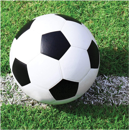 Sports Fanatic Soccer Fan Banquet Birthday Party Paper Beverage Napkins