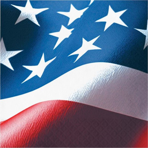 Freedom Flag USA Patriotic July 4th Theme Party Paper Luncheon Napkins