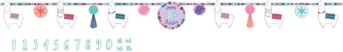 Llama Fun Exotic Animal Fiesta Kids Birthday Party Decoration Letter Banner