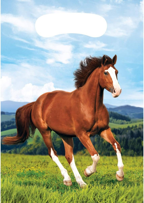 Horse & Pony Western Farm Animal Kids Birthday Party Favor Sacks Loot Bags