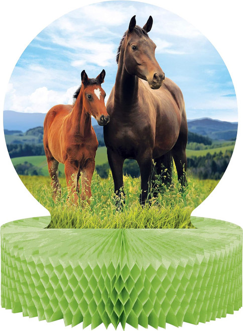 Horse & Pony Western Farm Animal Kids Birthday Party Decoration Centerpiece