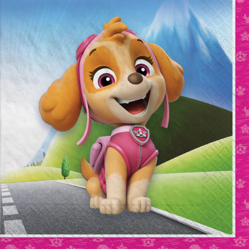 Paw Patrol Skye Nick Jr Dogs Kids Cute Birthday Party Paper Beverage Napkins