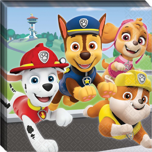 Paw Patrol Adventures Nick Jr Puppy Dog Birthday Party Paper Luncheon Napkins