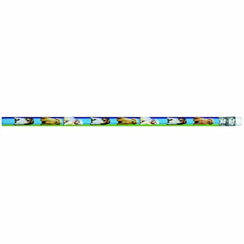 Party Pups Puppy Dog Animal Kids Birthday Party Favor Gift Pencils