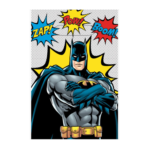 Batman Heroes Unite DC Comics Kids Birthday Party Favor Treat Sacks Loot Bags