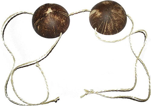 Coconut Bra Summer Luau Beach Fancy Dress Up Halloween Adult Costume Accessory