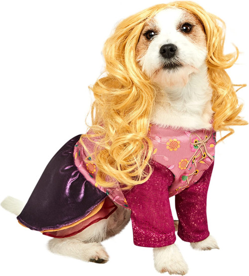 Sarah Sanderson Hocus Pocus Witch Fancy Dress Halloween Dog Cat Pet Costume