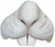 Bunny Nose Animal Instincts Costume Accessory