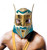 Warrior Wrestling Mask Luchador Mexican Fancy Dress Halloween Costume Accessory