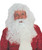 Santa Claus Wig Beard Christmas Fancy Dress Up Halloween Adult Costume Accessory