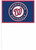 Washington Nationals MLB Baseball Sports Banquet Party Favor Stick Plastic Flags