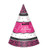 Born to Be Fabulous Modern Pink Black Adult Birthday Party Favor Cone Hats