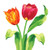 Bright Tulips Spring Floral Flower Garden Theme Party Paper Beverage Napkins