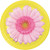 Petal Pop Bright Color Floral Flowers Garden Theme Party 7" Paper Dessert Plates