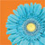 Petal Pop Bright Color Floral Flowers Garden Theme Party Paper Luncheon Napkins