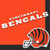 Cincinnati Bengals NFL Football Sports Party Luncheon Napkins