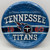 Tennessee Titans NFL Pro Football Sports Banquet Party 9" Paper Dinner Plates