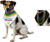 Mardi Gras Bandana Suit Yourself Pet Costume Accessory