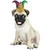 Mardi Gras Jester Hat Suit Yourself Pet Costume Accessory