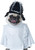 Bride of Frankenpup ImPawsters Pet Costume