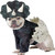 Dino Pup ImPawsters Pet Costume