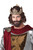 Medieval King Wig & Beard Adult Costume Accessory