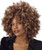 Fine Foxy Fro Wig Adult Costume Accessory