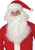 Santa Claus Wig & Beard Christmas Adult Costume Accessory