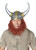 Viking Getup Helmet w/Attached Hair Adult Costume Accessory