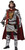 King Arthur Adult Costume