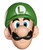 Luigi Mask Nintendo Super Mario Brothers Adult Costume Accessory