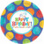 Birthday Fever Fun Party 10.5" Banquet Plates