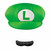 Luigi Hat & Moustache Super Mario Brothers Adult Costume Accessory
