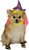 Witch Hood & Cuffs Pet Costume