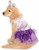 Prettiest Pooch Pet Shop Boutique Pet Costume