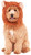 Lion's Mane Pet Shop Boutique Pet Costume Accessory