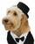 Top Hat Pet Costume Accessory