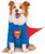 Superman DC Comics Big Dogs Pet Shop Boutique Costume