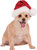 Sequin Santa Hat Pet Shop Boutique Pet Costume Accessory