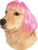 Short Bob Wig Pet Costume Accessory