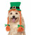 Irish Girl Hat w/Braids Pet Costume Accessory