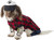 Hipster Pet Shop Pet Costume