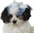 Formal Hat Pet Shop Pet Costume Accessory