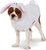 Bunny Hoodie Pet Shop Pet Costume