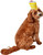 Birthday Cake Slice Hat Pet Shop Pet Costume Accessory
