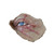 Michael Myers Dead Eye Appliance Halloween 2018 Adult Costume Accessory
